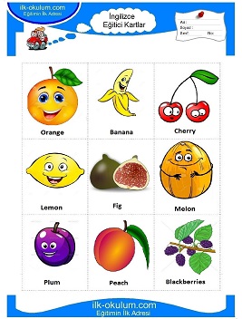 ingilizce Meyveler flashcard-eğitici kartlar 